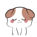Little Puppy 16