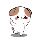 Little Puppy 5