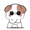 Little Puppy 18