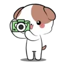 Little Puppy 9