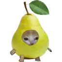 Cat Food 9