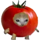 Cat Food 13