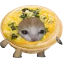 Cat Food 16