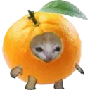 Cat Food 7
