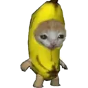 Cat Food 18