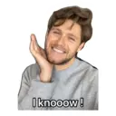indisstickers 4.0 25