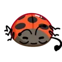Ladybug Lisa ️Nazaralnazrii ️ 22