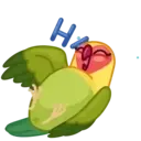 Lovebirds ️Nazaralnazrii ️ 2