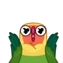 Lovebirds ️Nazaralnazrii ️ 9