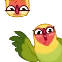 Lovebirds ️Nazaralnazrii ️ 3