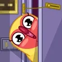 Lovebirds ️Nazaralnazrii ️ 1