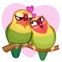 Lovebirds ️Nazaralnazrii ️ 15
