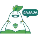 Mr. Rainbow Agro 9