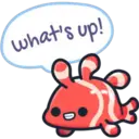 what's up!