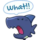 What!!