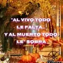 Halloween 15