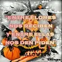 Halloween 9
