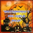 Halloween 25