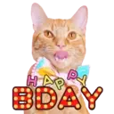 Aww Gatitos 1. mov 14