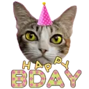 Aww Gatitos 1. mov 15