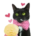 Aww Gatitos 1. mov 2