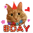 Aww Gatitos 1. mov 23