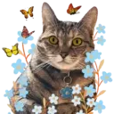 Aww Gatitos 1. mov 9