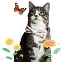 Aww Gatitos 1. mov 29