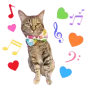 Aww Gatitos 1. mov 1