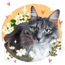 Aww Gatitos 2. mov 15