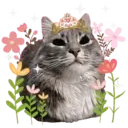 Aww Gatitos 2. mov 8