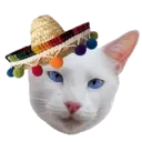 Aww Gatitos 2. mov 22
