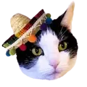 Aww Gatitos 2. mov 19