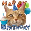 Aww Gatitos 2. mov 10