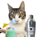 Aww Gatitos 2. mov 14