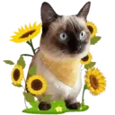 Aww Gatitos 2. mov 17