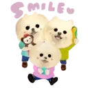 Aww Perritos. .mov 25