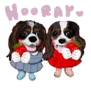 Aww Perritos. .mov 5