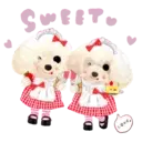 Aww Perritos. .mov 14
