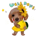 Aww Perritos. .mov 17