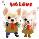 Aww Perritos. .mov 18