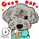 Aww Perritos. .mov 29