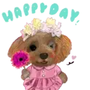Aww Perritos. .mov 10