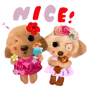 Aww Perritos. .mov 20