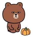 Bear with bad eyes 16