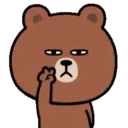 Bear with bad eyes 24
