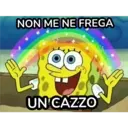 Dear Agnese, Count Me In 14