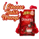 Downy Indonesia #HarumkanIndonesia 9