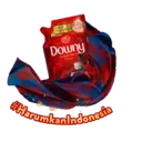 Downy Indonesia #HarumkanIndonesia 7
