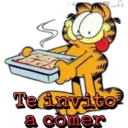 Garfield 6